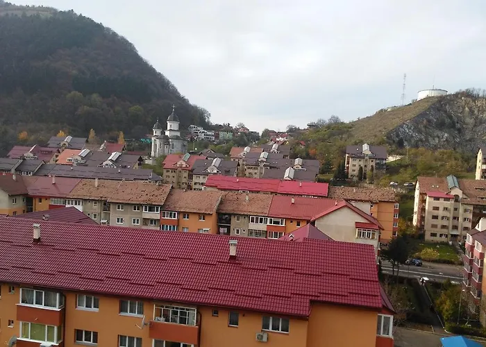 Apartament Viorea